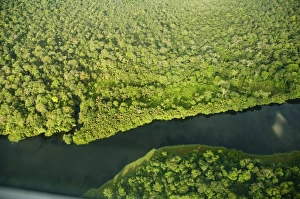 Costa Rican Prints: River in Tortuguero National Park, Costa Rica, Central America