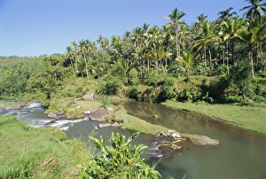 River valley