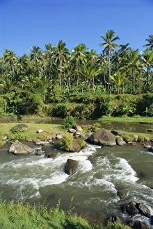 River valley at Kupa Kupa Barong
