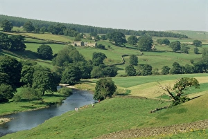 River Wharfe Prints: River Wharfe, Barden Bridge near Bolton, Yorkshire, England, United Kingdom, Europe