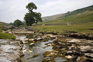 North Yorkshire Prints: River Wharfe, Upper Wharfedale (Langstrothdale)