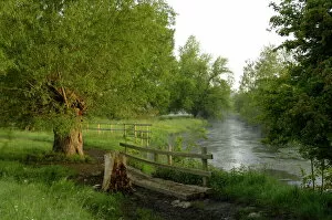 Oxfordshire Collection: The River Windrush near Burford, Oxfordshire, the Cotswolds, England, United Kingdom