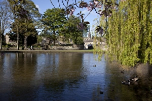 Bakewell Prints: River Wye, Bakewell, Derbyshire, England, United Kingdom, Europe