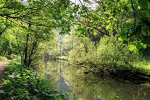 Rural Scenes Gallery: River Wye lined by trees in spring leaf with riverside track, reflections in calm water