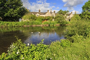 Duck Prints: River Wye in spring, Bakewell, Historic Market Town, home of Bakewell Pudding, Peak