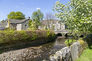 Hedge Prints: Riverside Cottages in Baslow in springtime, Derbyshire Dales, Derbyshire, England