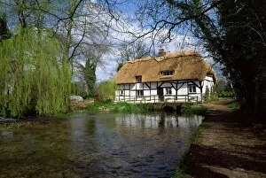 Cottage Collection: Riverside thatched cottage, New Alresford, Hampshire, England, United Kingdom, Europe