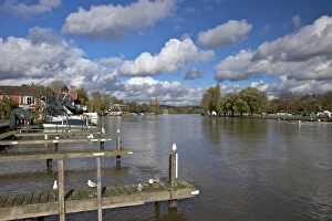 Riverside view in winter sunshine, Henley-on-Thames, Oxfordshire, England, United Kingdom, Europe