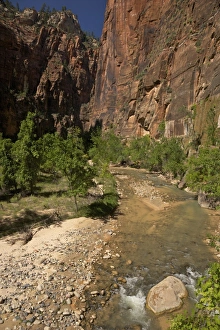 Sand Stone Prints: Riverside Walk in Virgin River Canyon
