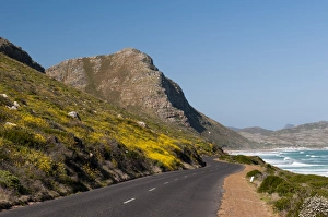 Coastal Road Prints: Empty road to Cape of Good Hope, Cape Town, South Africa, Africa