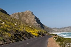 Images Dated 23rd April 2010: Empty road to Cape of Good Hope, Cape Town, South Africa, Africa