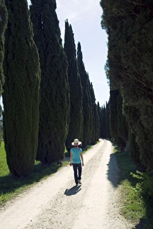 Arezzo Prints: Road to Castello di Romena, Casentino, Arezzo, Tuscany, Italy, Europe