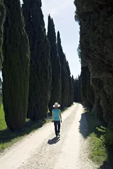 Road to Castello di Romena, Casentino, Arezzo, Tuscany, Italy, Europe
