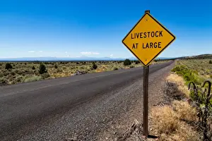Freeways Prints: Empty road in central Oregons High Desert with Livestock at Large sign and the Three