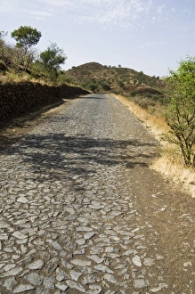 Fogo Prints: Road in countryside on way to the volcano, Fogo (Fire), Cape Verde Islands, Africa