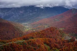 Leon Prints: Road crossing beautiful colorful autumn tree landscape in Picos de Europa National Park