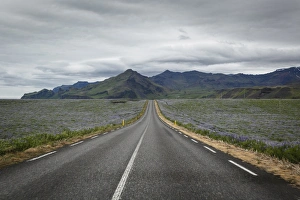 Frontier Prints: Empty road, Iceland, Polar Regions