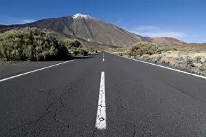 Road leading to El Teide volcano, Tenerife, Canary Islands, Spain, Europe
