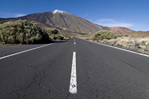 Images Dated 31st December 2008: Road leading to El Teide volcano, Tenerife, Canary Islands, Spain, Europe