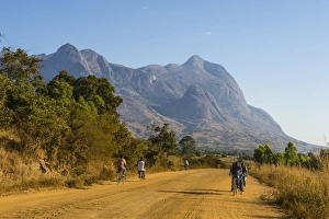 Medium Group Of People Prints: Road leading to the granite peaks of Mount Mulanje, Malawi, Africa