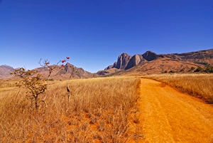 Images Dated 23rd August 2007: Road leading to granite rocks in the Andringitra National Park, Madagascar, Africa