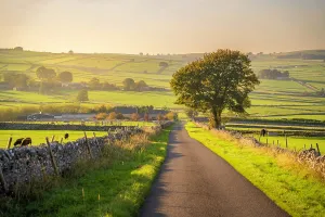 United Prints: Road leading to Monyash during autumn with fields and trees in Bakewell