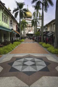 Paving Prints: Road leading to the Sultan Mosque in the Arab Quarter, Singapore, Southeast Asia, Asia