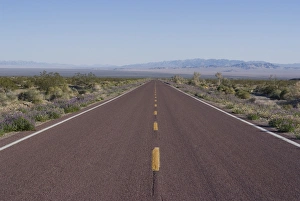 Road Markings Prints: Road through the Mojave Desert, California, United States of America, North America