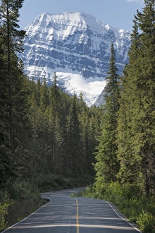 Road Marking Prints: Road to Mount Edith Cavell, Jasper National Park, UNESCO World Heritage Site