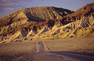 Waste Land Prints: Road through the national park