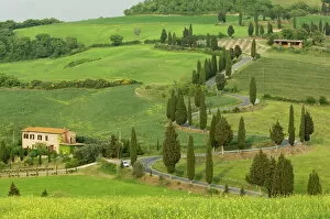 Rural Road Collection: Road from Pienza to Montepulciano