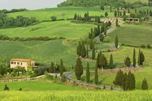 Val Dorcia Prints: Road from Pienza to Montepulciano