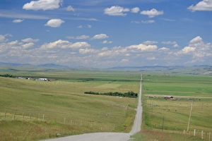 Calgary Prints: Road across prairie wheatlands, south of Calgary, Alberta, Canada