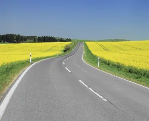 Images Dated 1st June 2009: Road through rape fields in spring, Swabian Alb, Baden Wurttemberg, Germany, Europe
