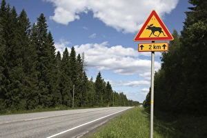 Images Dated 18th June 2009: Road sign for elk crossing, Highway Number 14, Punkaharju Ridge, Savonlinna