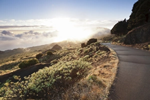 El Hierro Prints: Road at the south coast at sunset, near Orchilla Volcano, UNESCO biosphere reserve