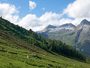 Canton Graubunden Prints: The road to Splugen Pass, Canton Graubunden, Swiss Alps, Switzerland, Europe