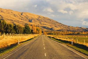 Arranging Prints: Road, Tarras