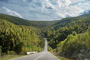 Trail Prints: Road travels through greenery toward Mount Elbrus in Kabardino-Balkaria