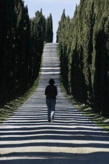 Images Dated 10th November 2006: Road in Tuscany, Italy, Europe