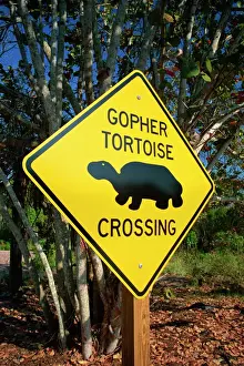 Rural Location Prints: Road warning sign, J. N. Ding Darling Wildlife Refuge, Sanibel Island, Florida
