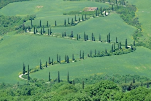Orcia Valley Prints: Road winding up hillside