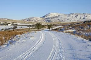 Images Dated 5th January 2010: Road in winter snow, Dumfries and Galloway, Scotland, United Kingdom, Europe
