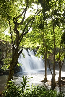 Waterfall Prints: Rochester Falls, Souillac, Savanne, Mauritius, Indian Ocean, Africa