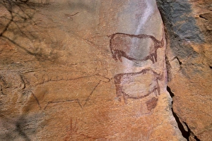 Rock Art Prints: Rock art, rhinos, Tsodilo Hills, UNESCO World Heritage Site, Ngamiland, Botswana, Africa