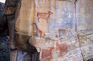 Rock Art Prints: Rock art, Tsodilo Hills, UNESCO World Heritage Site, Ngamiland, Botswana, Africa