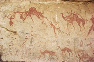 Rock Art Prints: Rock art of Tuaregs with camels, Tassili, Algeria, North Africa, Africa