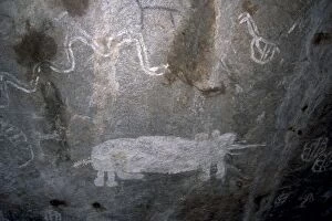 Images Dated 14th November 2007: Rock art, white paintings, elephant and rain snake, Tsodilo Hills, UNESCO World Heritage Site