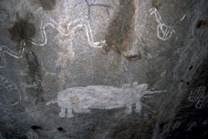 Images Dated 14th November 2007: Rock art, white paintings, elephant and rain snake, Tsodilo Hills, UNESCO World Heritage Site