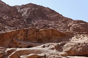 Arid Landscapes Prints: A rock carving depicts the Golden Calf of the Old Testament under Mount Sinai